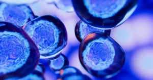 IOScholarships Foundation - Blog stem-cells
